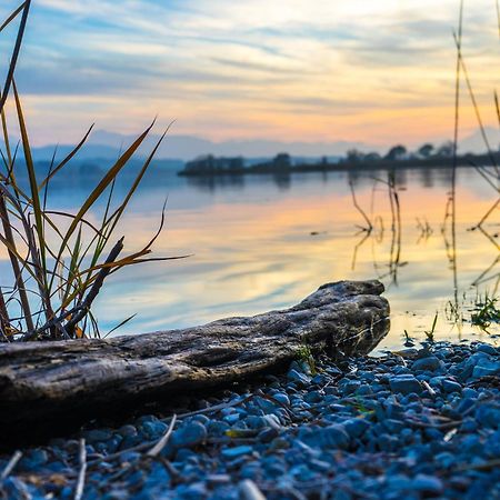 Am See 90 Seekirchen am Wallersee Dış mekan fotoğraf
