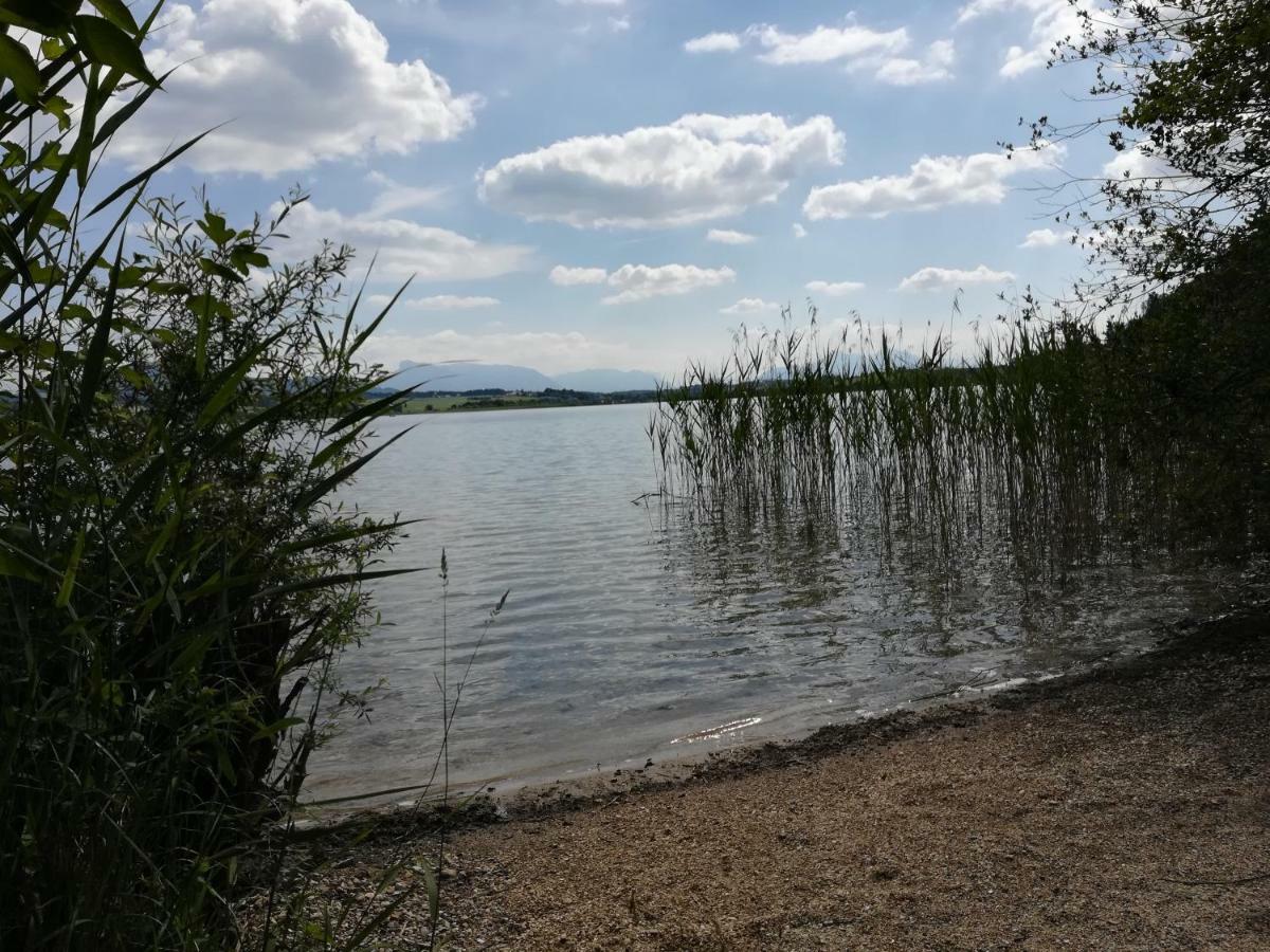 Am See 90 Seekirchen am Wallersee Dış mekan fotoğraf